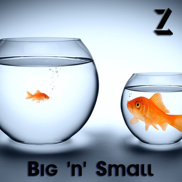 Z - Big 'n' Small episode artwork