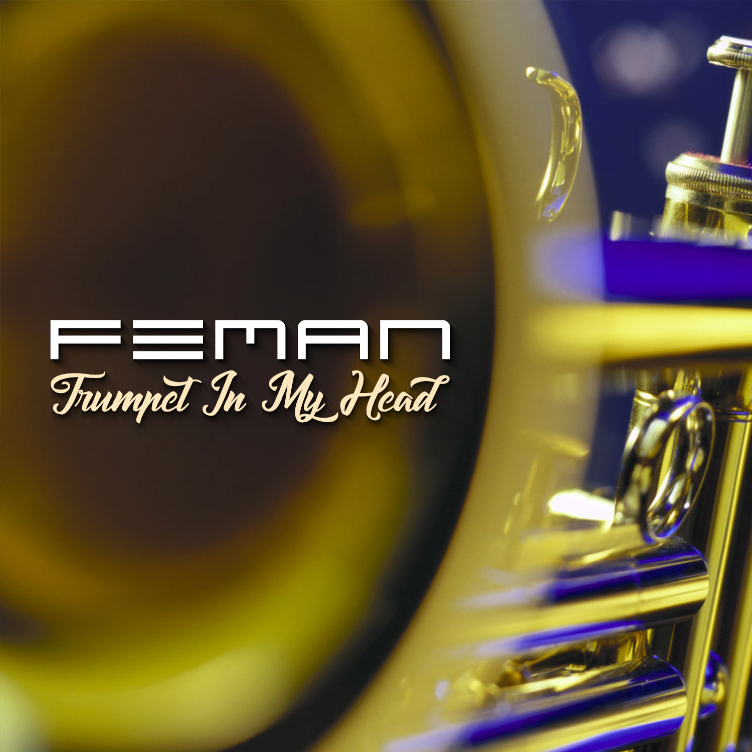 FEMAN