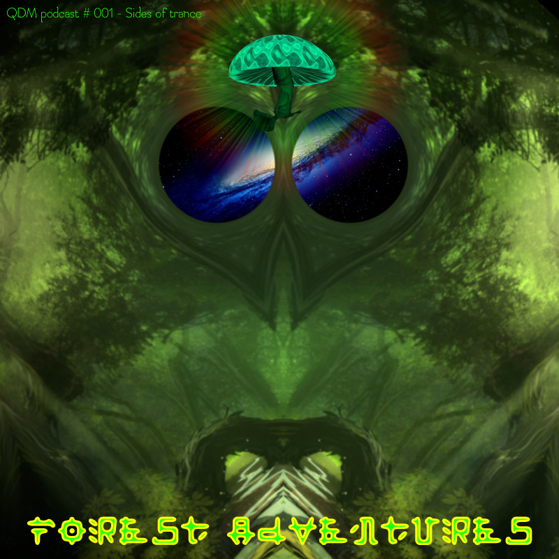 QDM Podcast #001 || QDM – Forest Adventures