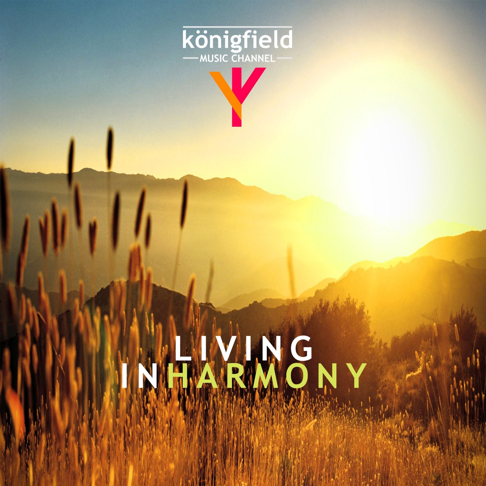 Living in harmony