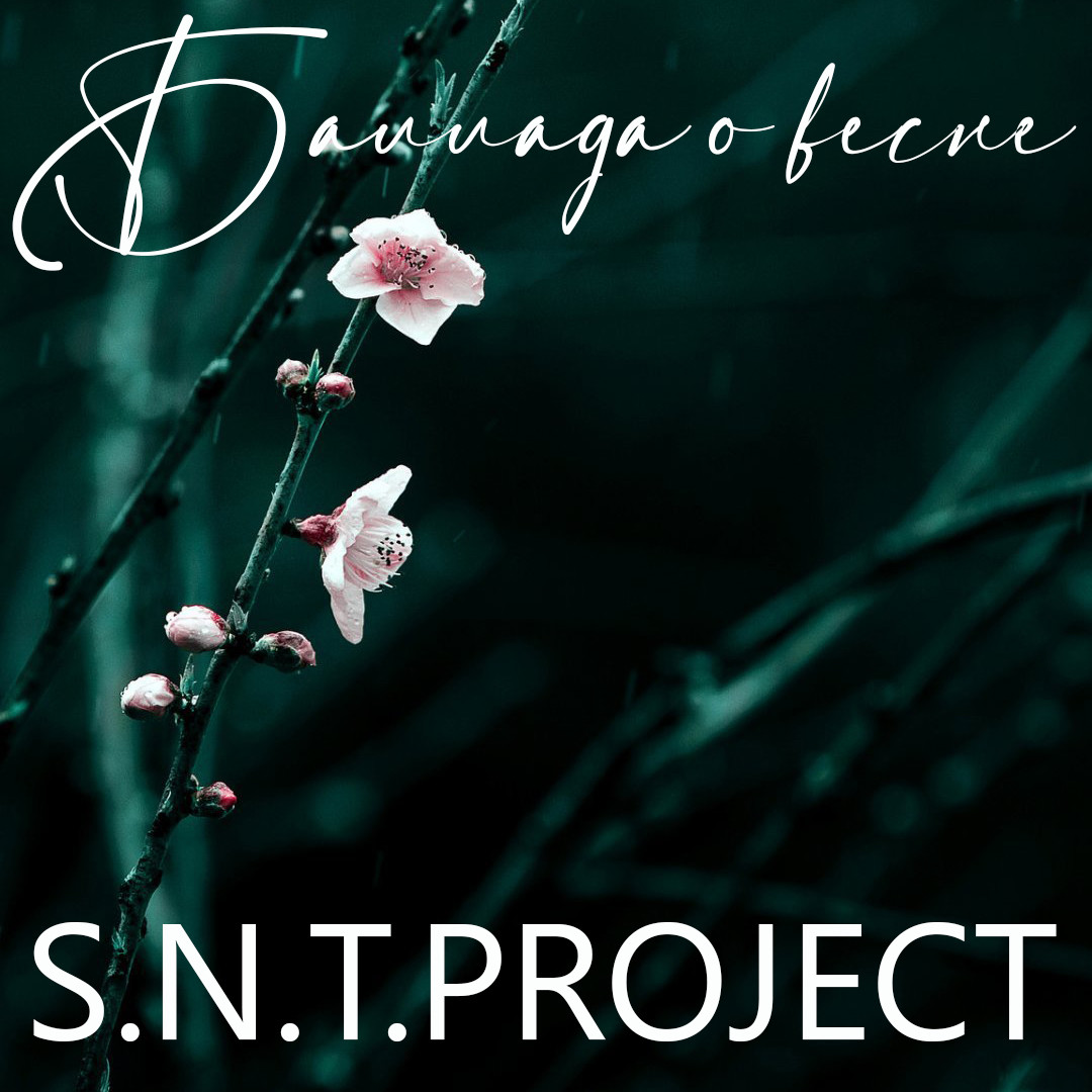 S.N.T.Project - Баллада О Весне episode artwork