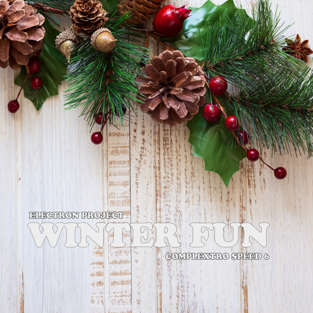 Electron Project - Winter Fun (Best Complextro 2014) [PDJ FM] episode artwork