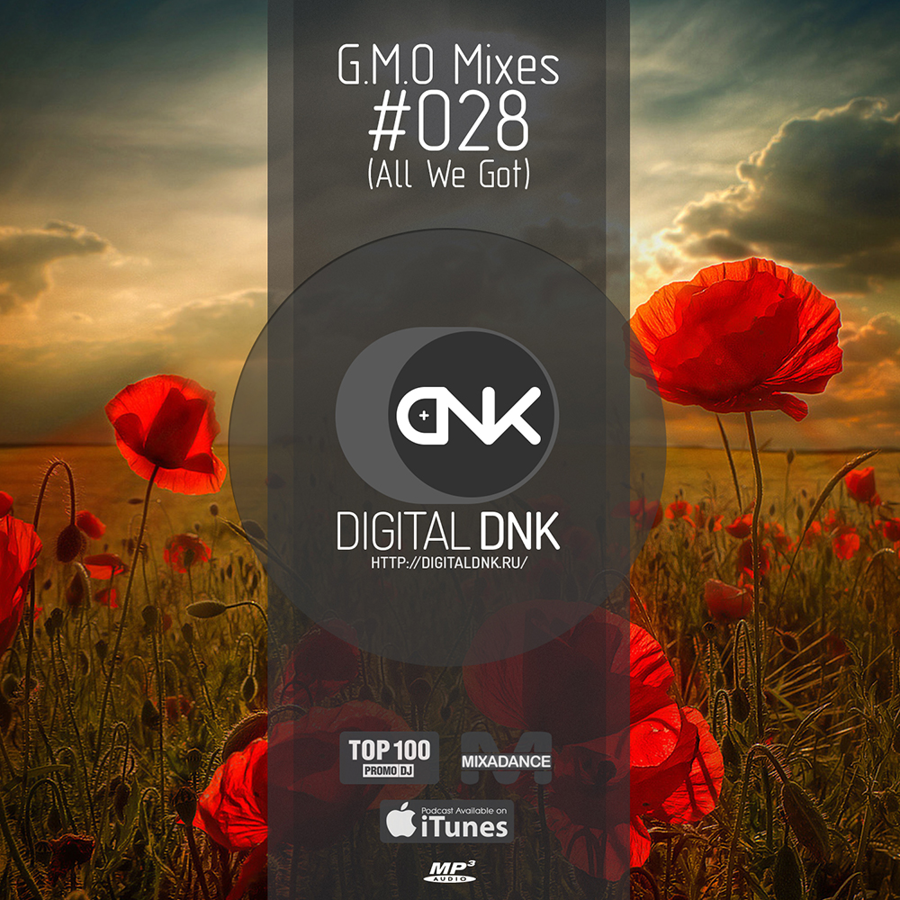 digital DNK