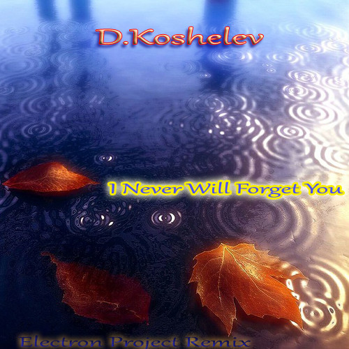 D.Koshelev - I Never Will Forget You(Electron Project Remix) episode artwork