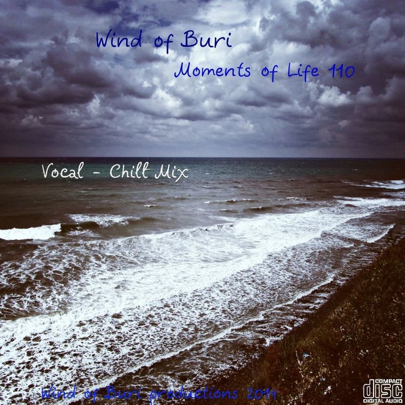 Moments my life. Life moments. Vocal-Chill Mix. Картинка на обложку moments is Life. Aurosonic Frainbreeze Katty Heath all i need.