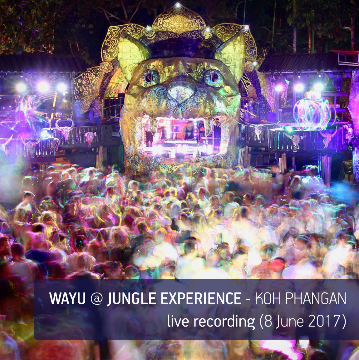 Wayu @ Jungle Experience, Koh Phangan (live recording 8 June 2017)