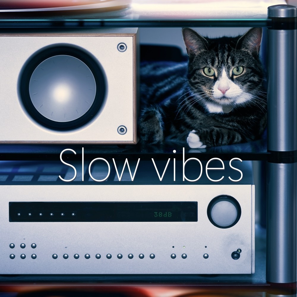 Loungeman - Slow vibes episode artwork