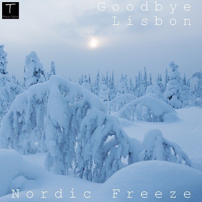 Goodbye Lisbon - Nordic Freeze (Dj Pasha Shock Remix)