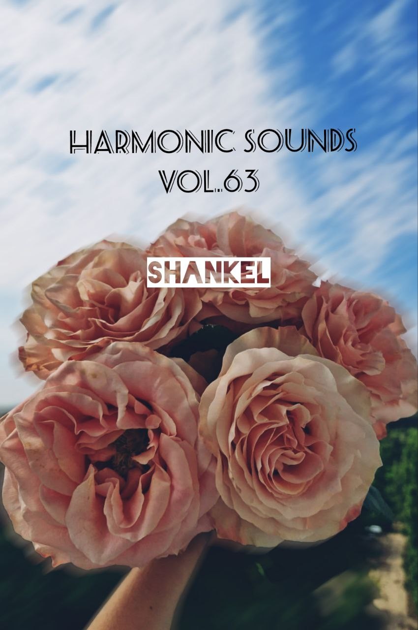 Harmonic Sounds