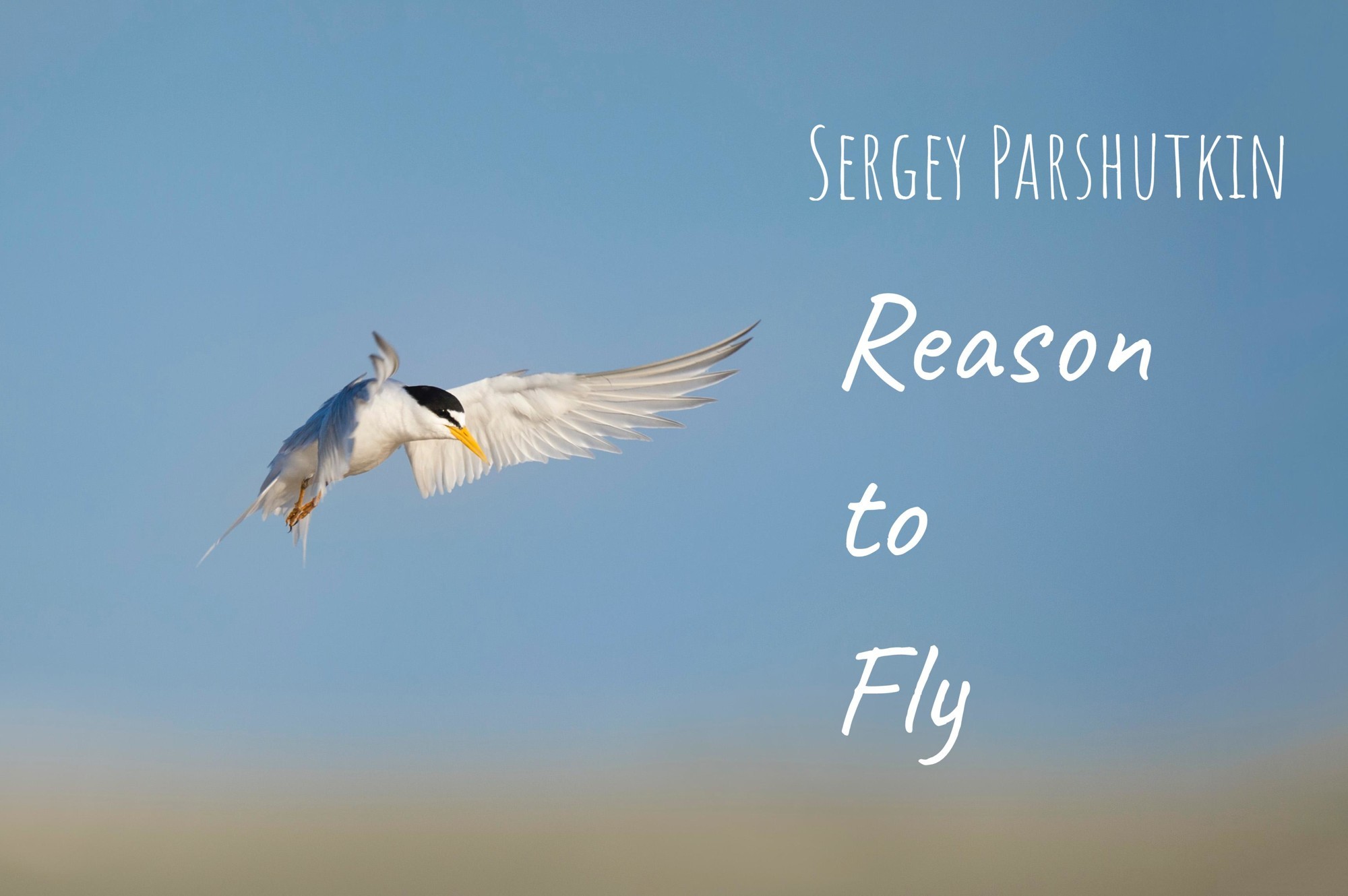 Expecting to fly. To fly.