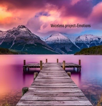 Voiceless project-Emotions Voiceless project-Emotions