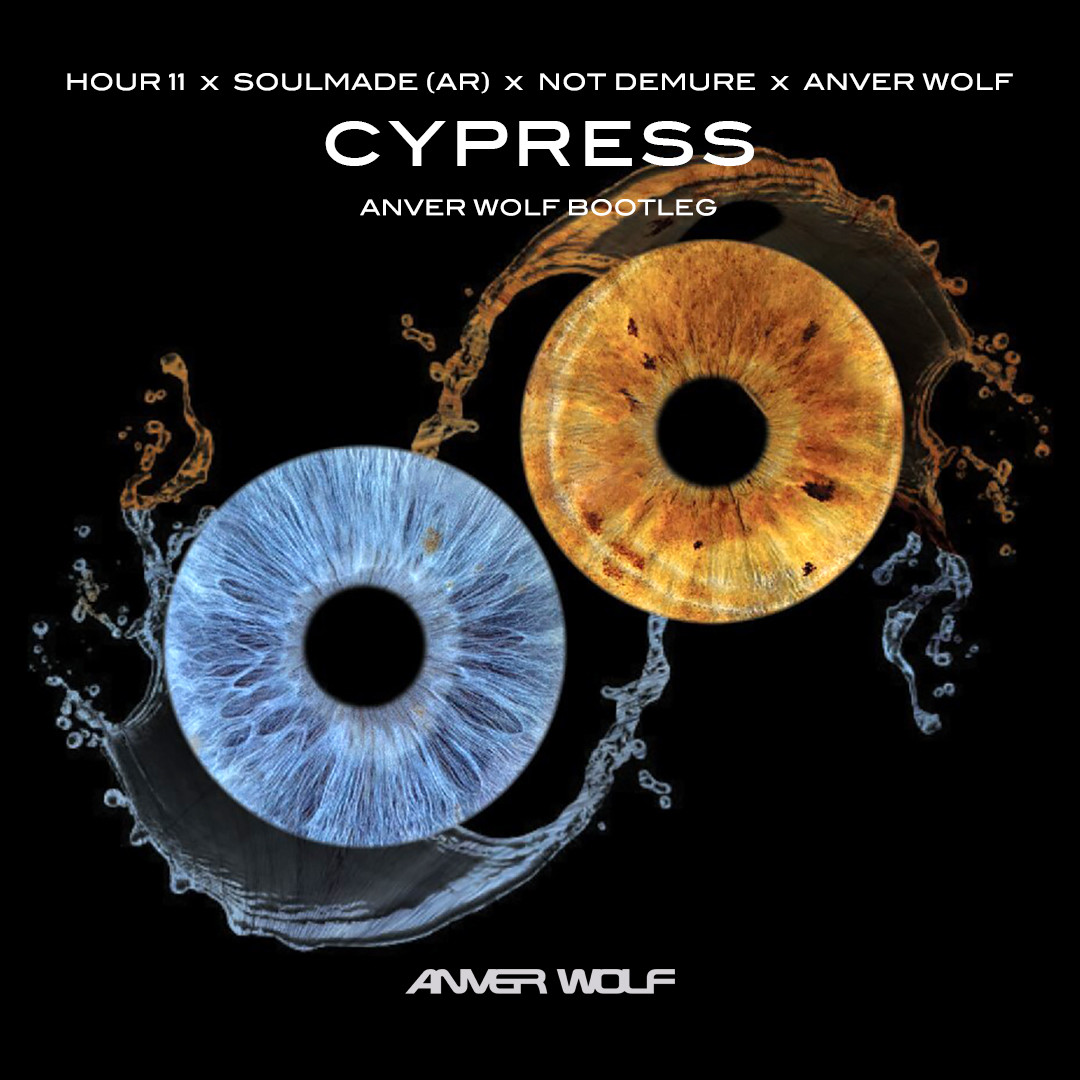 Hour 11, Soulmade (AR), Not Demure, Anver Wolf - Cypress (Anver Wolf Extended Bootleg)