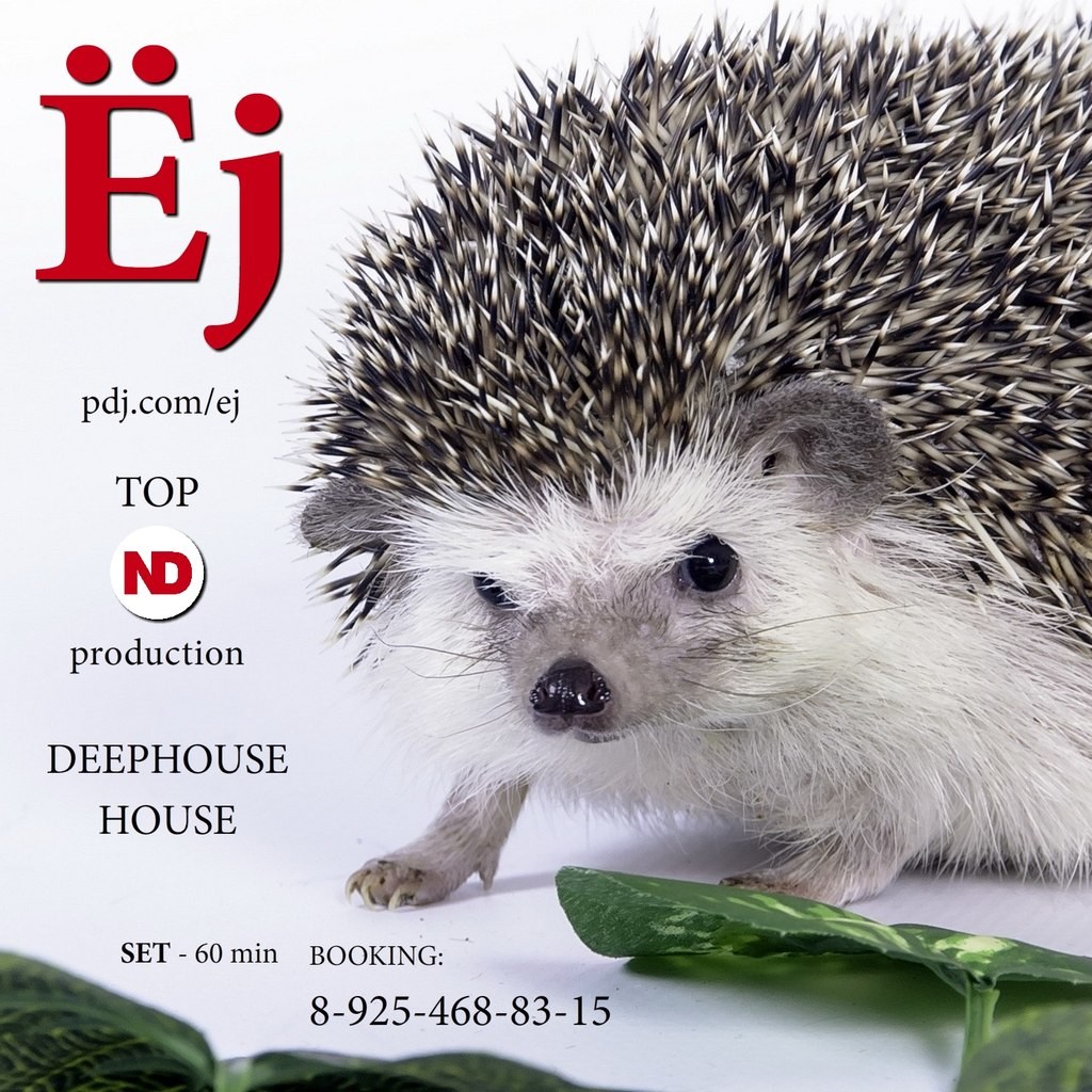 DJ Ёж Podcast