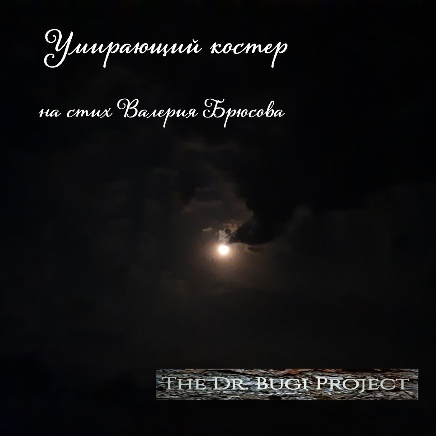 The Dr.Bugi Project - Умирающий костер (на стих В.Брюсова) episode artwork