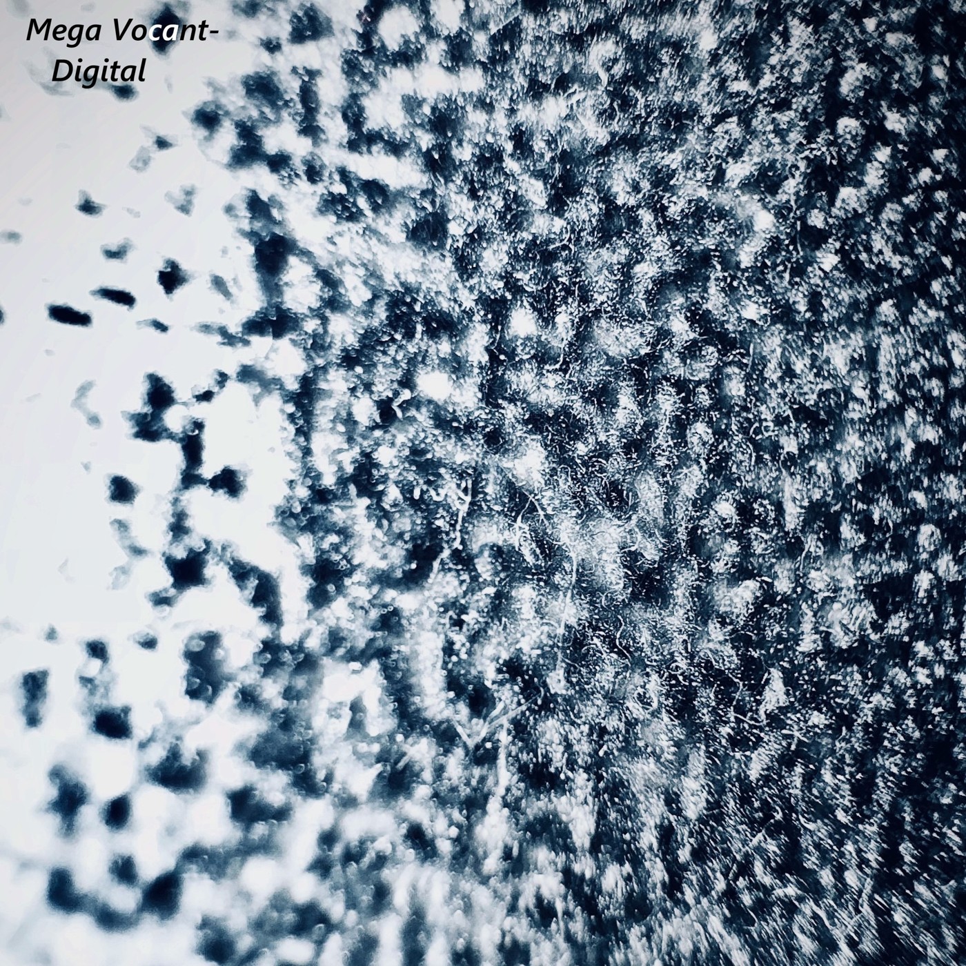 BAGAUHOM - Скажи Да (Mega Vocant remix) episode artwork