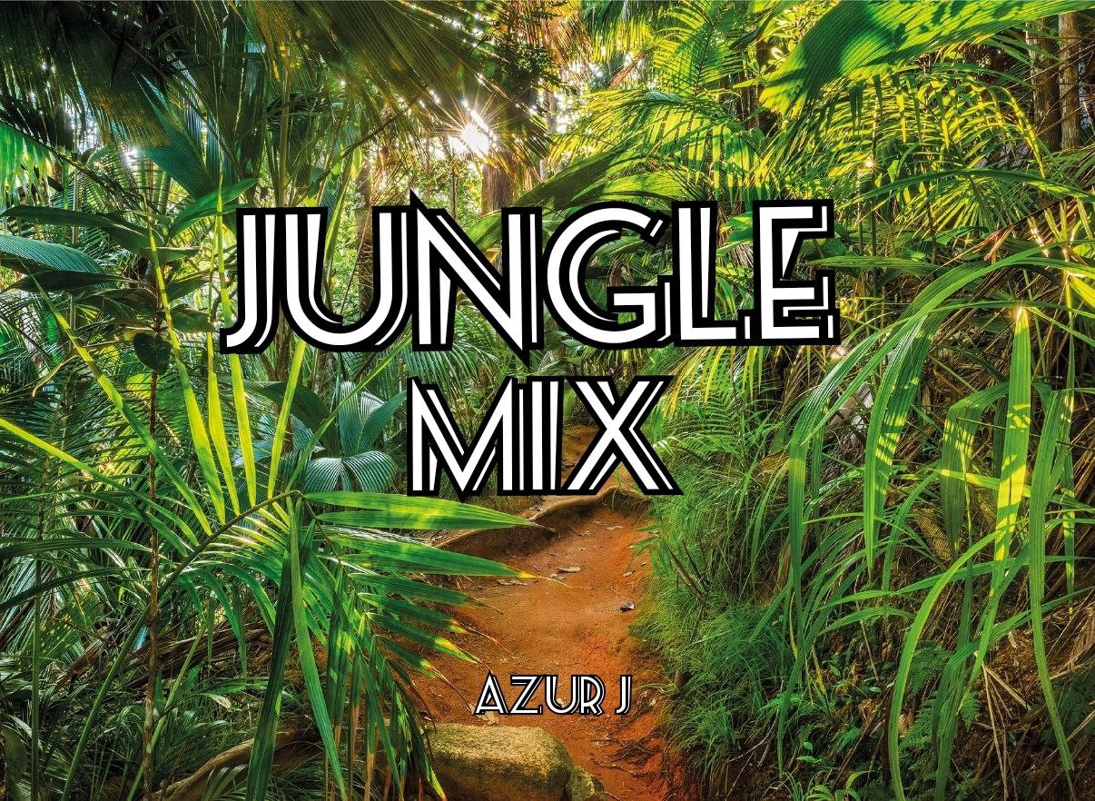 DJ Azur J - Jungle Mix (April 2021)