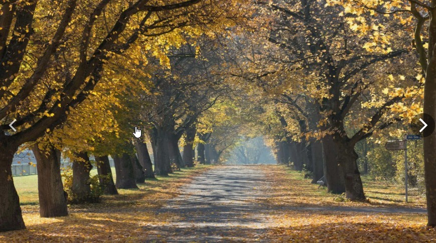 Ej Ceefon - Autumn Mix'2025 (Virtual Dj)