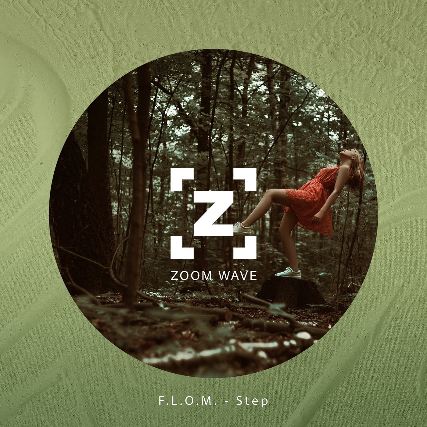 F step. 10180 модель степ. F step. огурец f1 кречет. сумка-чехол для степ-платформы.