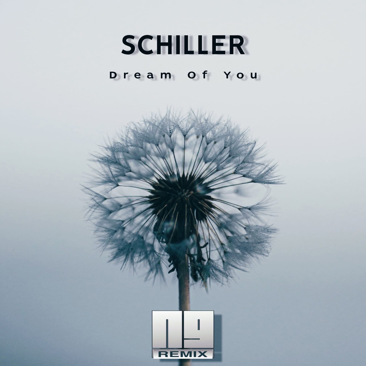 Schiller - Dream Of You (NG Remix) – NG (Native Guest)