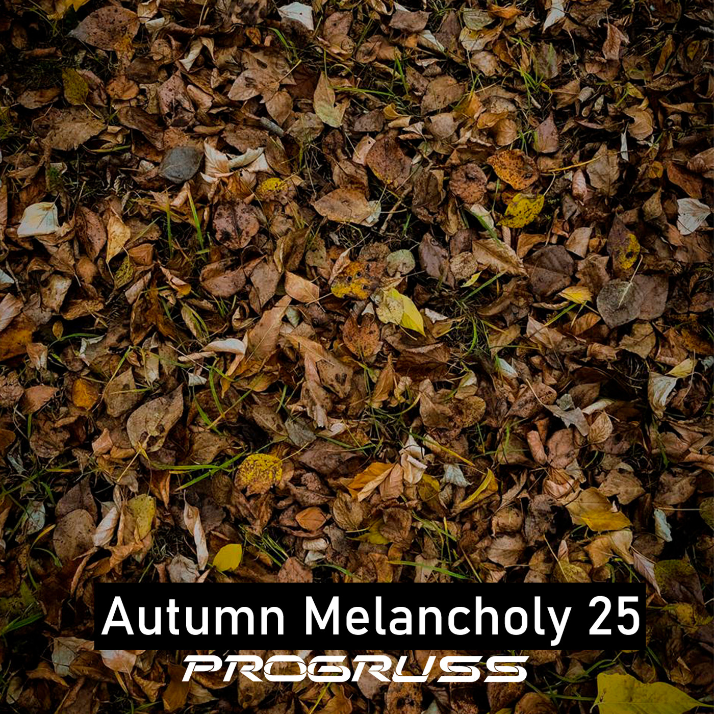 Progruss - Autumn Melancholy 25