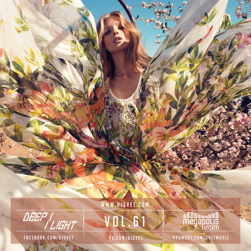 SVET - DEEP LIGHT # 61 (Megapolis FM) episode artwork