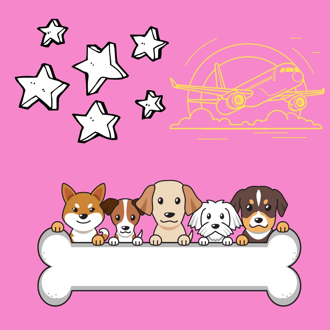 Собачки в Боинге