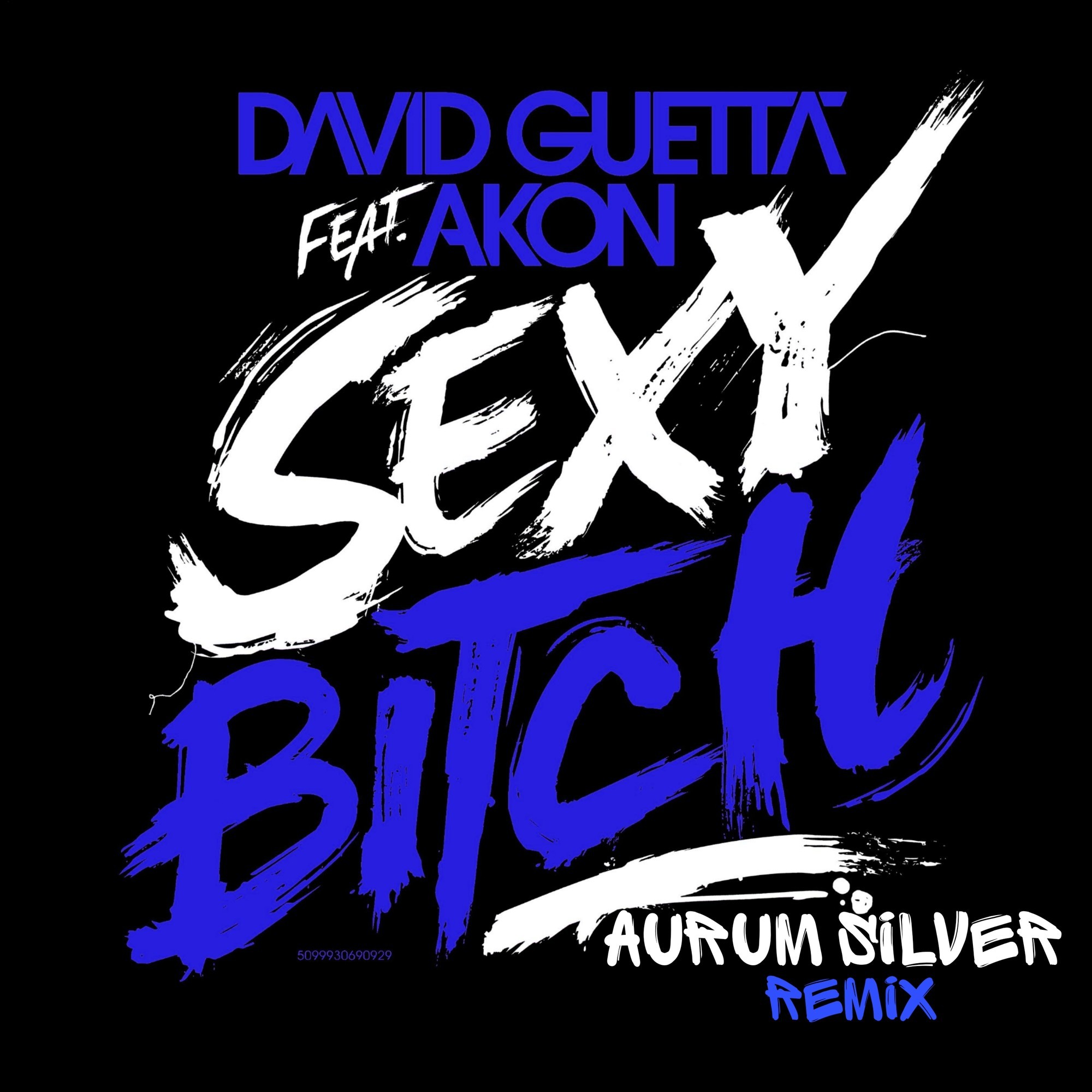 David Guetta feat Akon - Sexy Bitch (Aurum Silver Remix) – Aurum Silver aka  Tema Slider