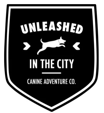 Unleashed In The City
