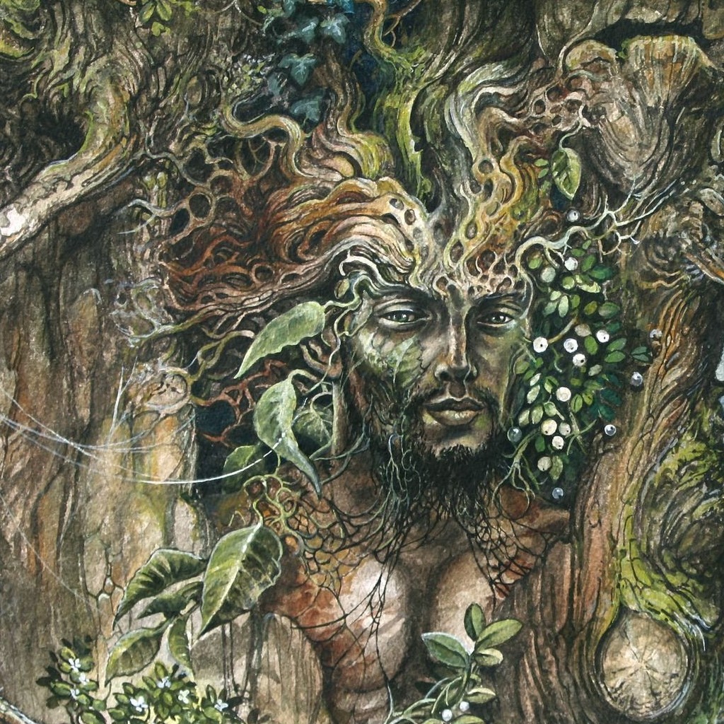 Organic by Olejo