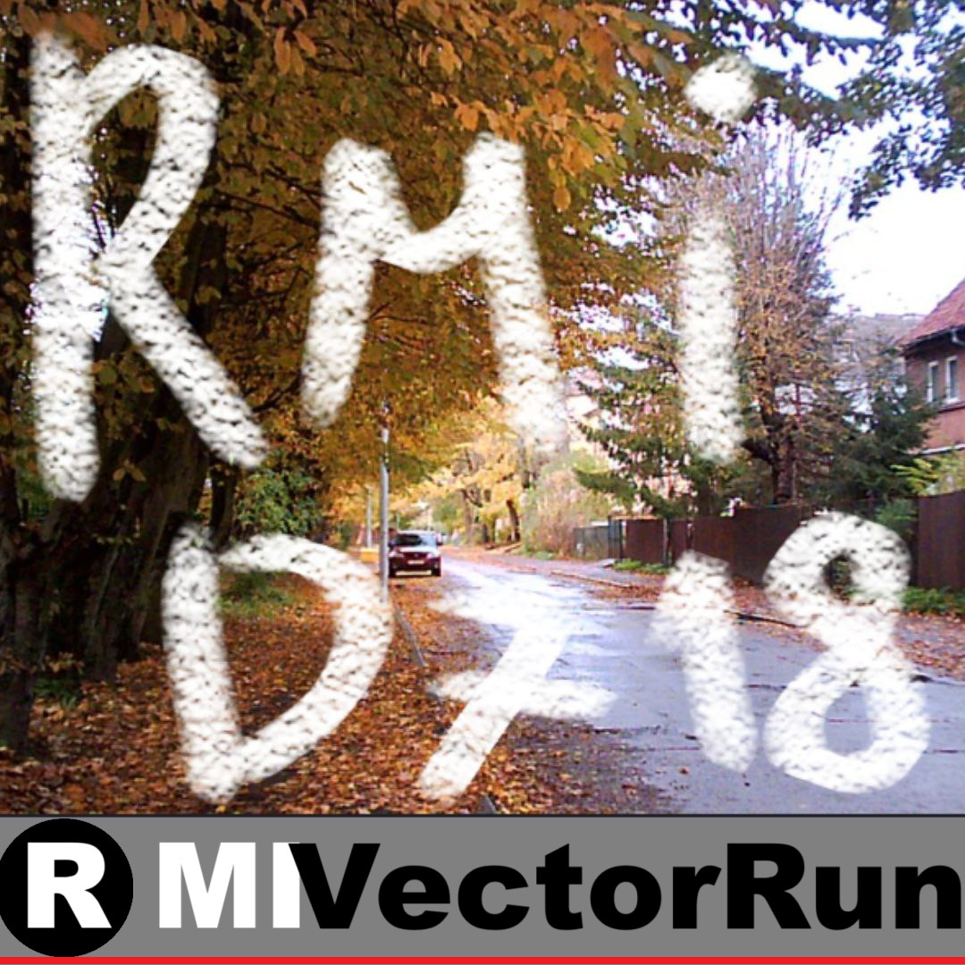 VectorRun
