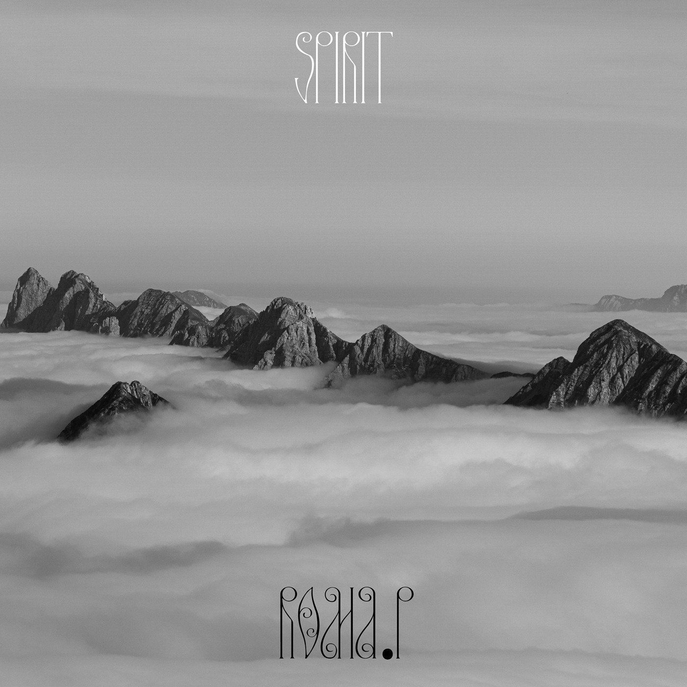Roma P- Spirit