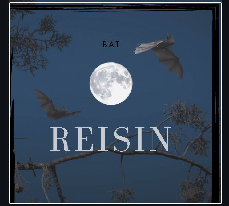 Reisin-Bat(demo) episode artwork