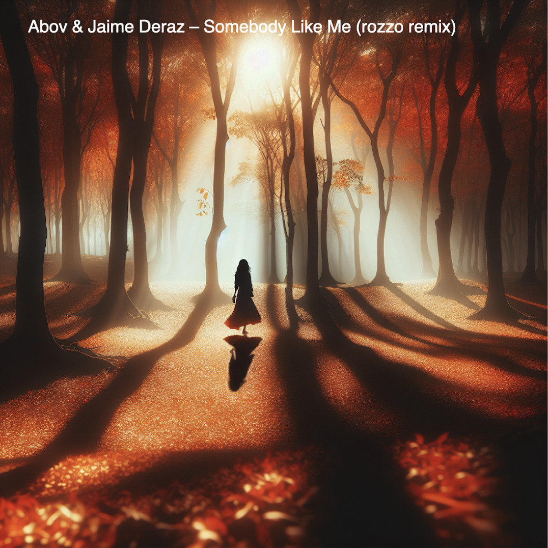 Abov & Jaime Deraz - Somebody Like Me (rozzo remix) episode artwork