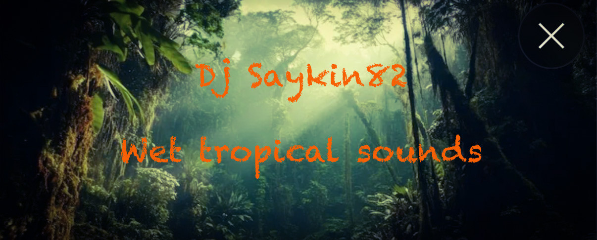 Dj Saykin82 wet tropical sounds episode artwork