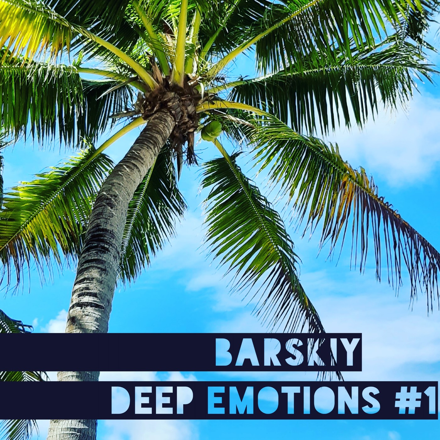 Barskiy DJ - The Color of Music -