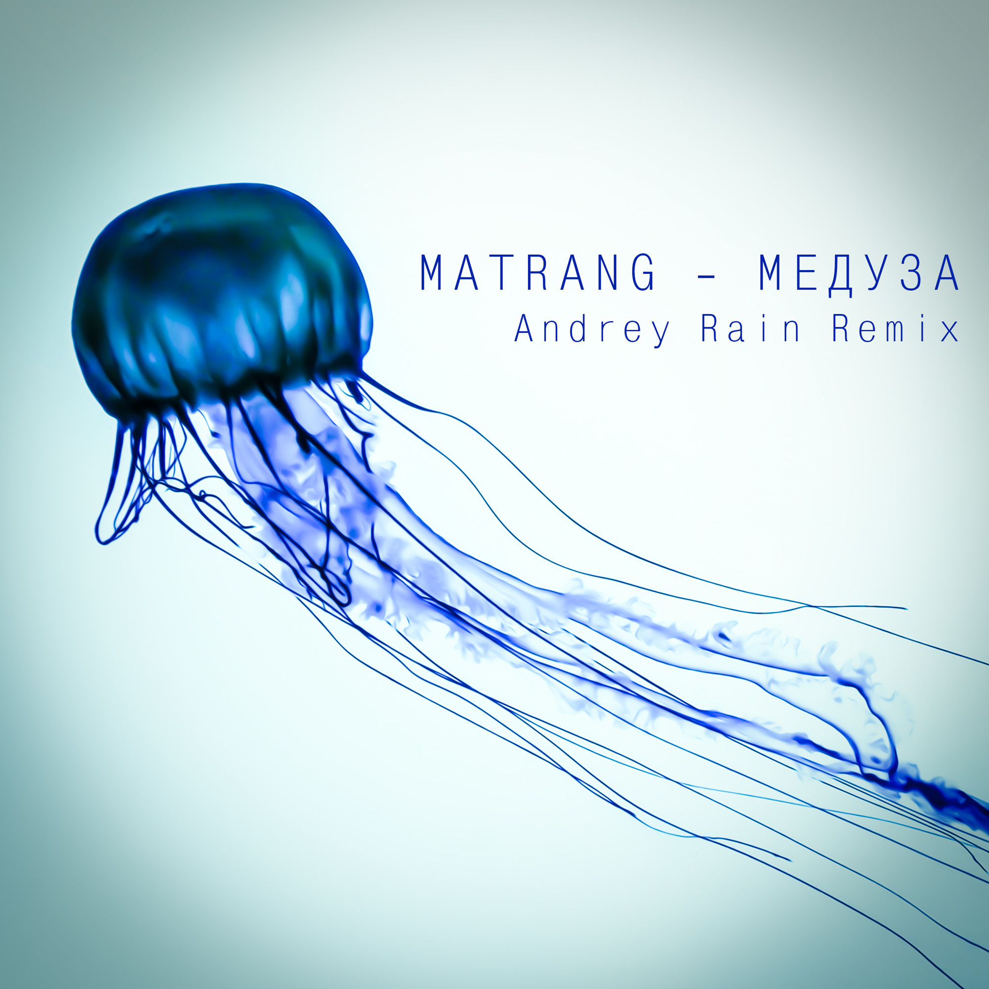 джелли фиш медуза. медуза aesthetic. хочу медузу. медуза джеллифиш. Jellyfish64.