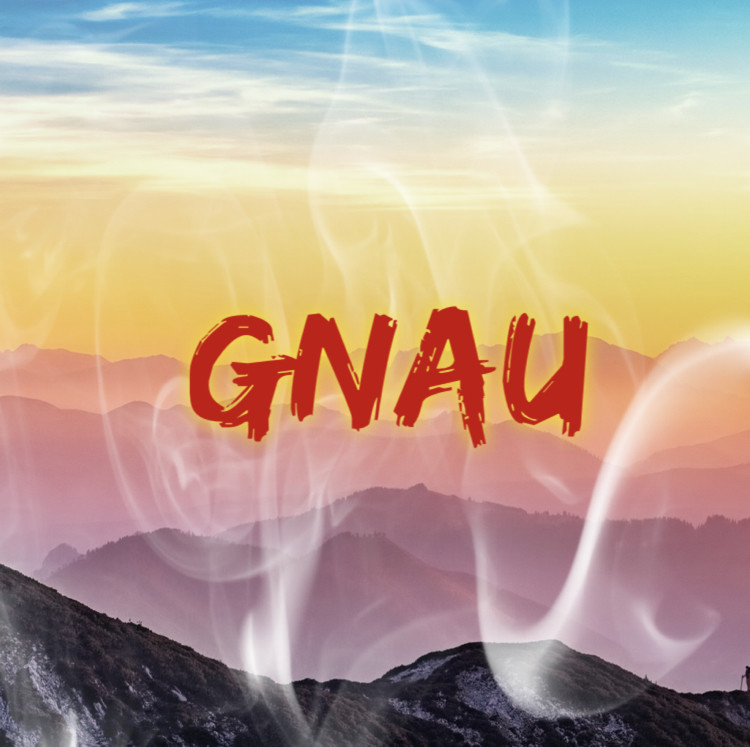 Andy J - Gnau Andy J - Gnau