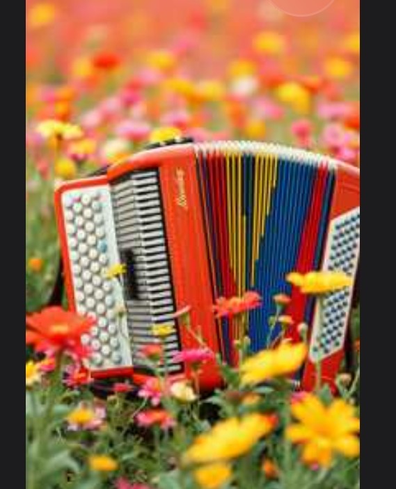 частушка female частушка female