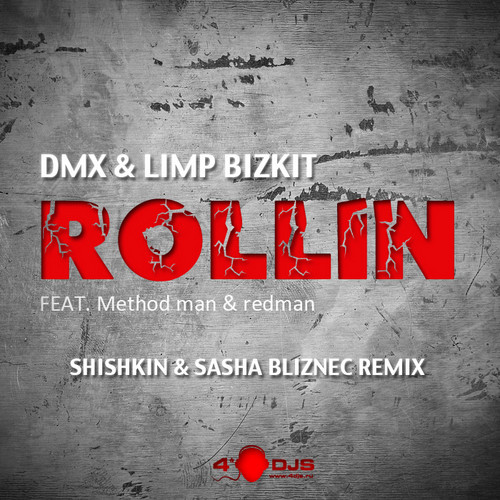 DJ Shishkin