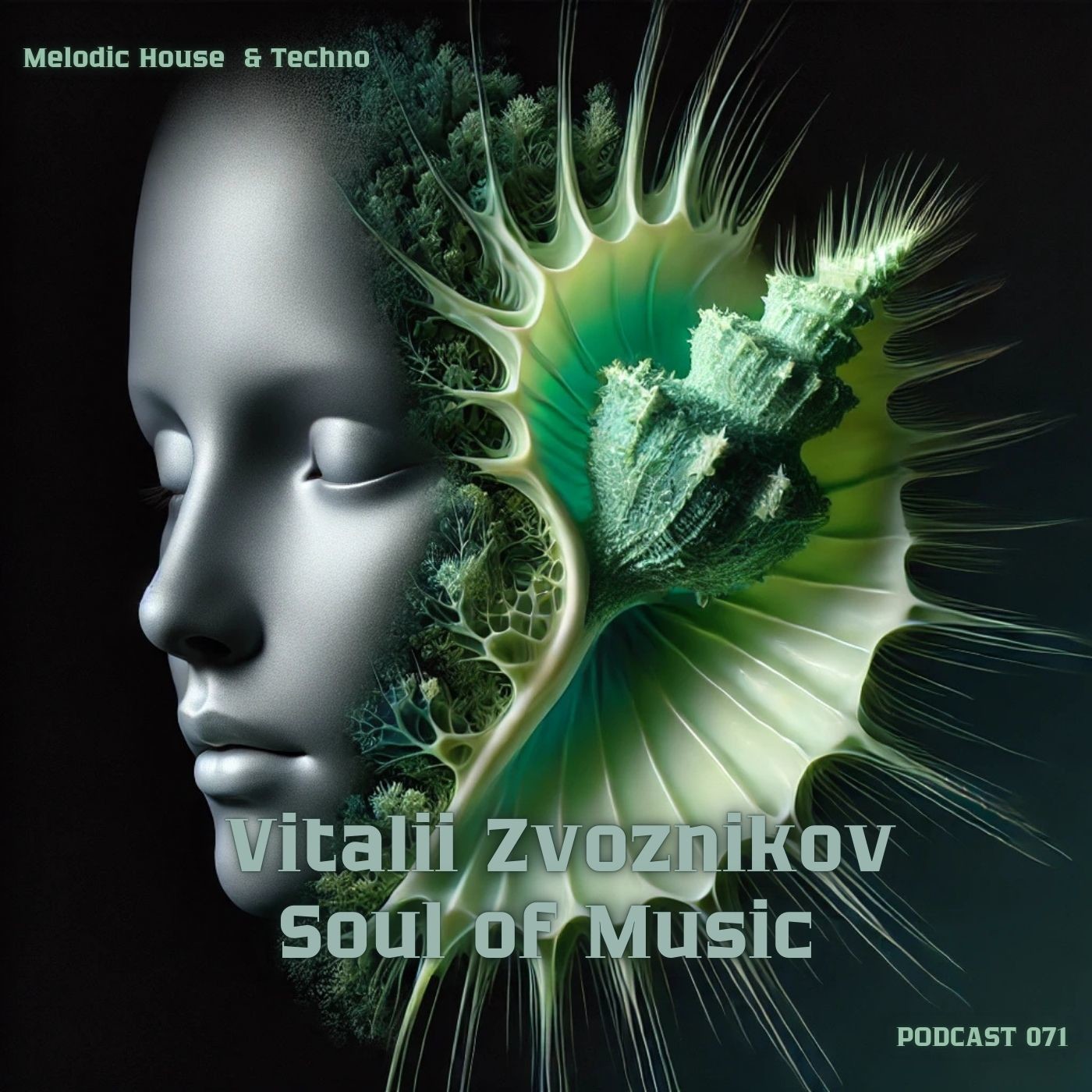 Vitalii Zvoznikov