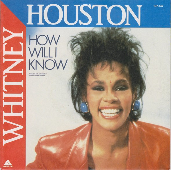 Whitney Houston - How Will I Know (Housemad Remix) episode artwork