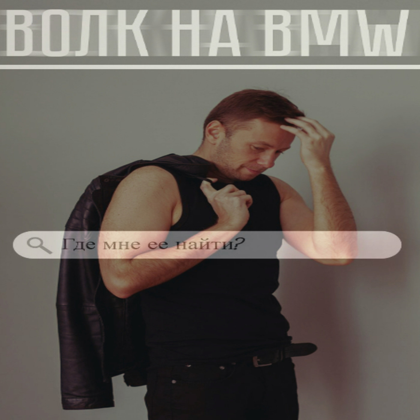 ВОЛК на BMW -  Где мне ее найти?