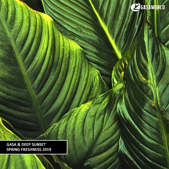 GASA & Deep Sunset - Spring Freshness 2019