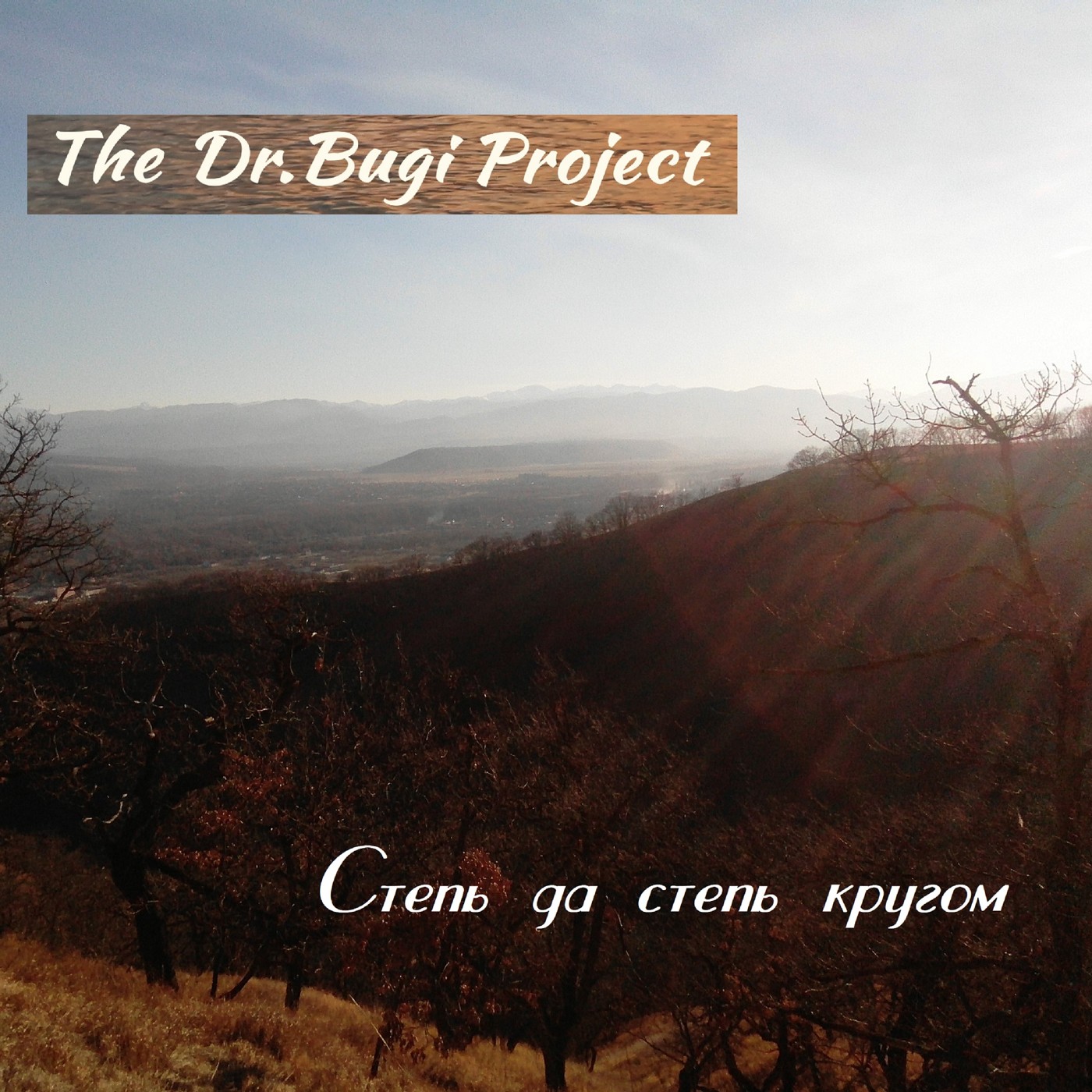 The Dr.Bugi Project  - Степь да степь кругом