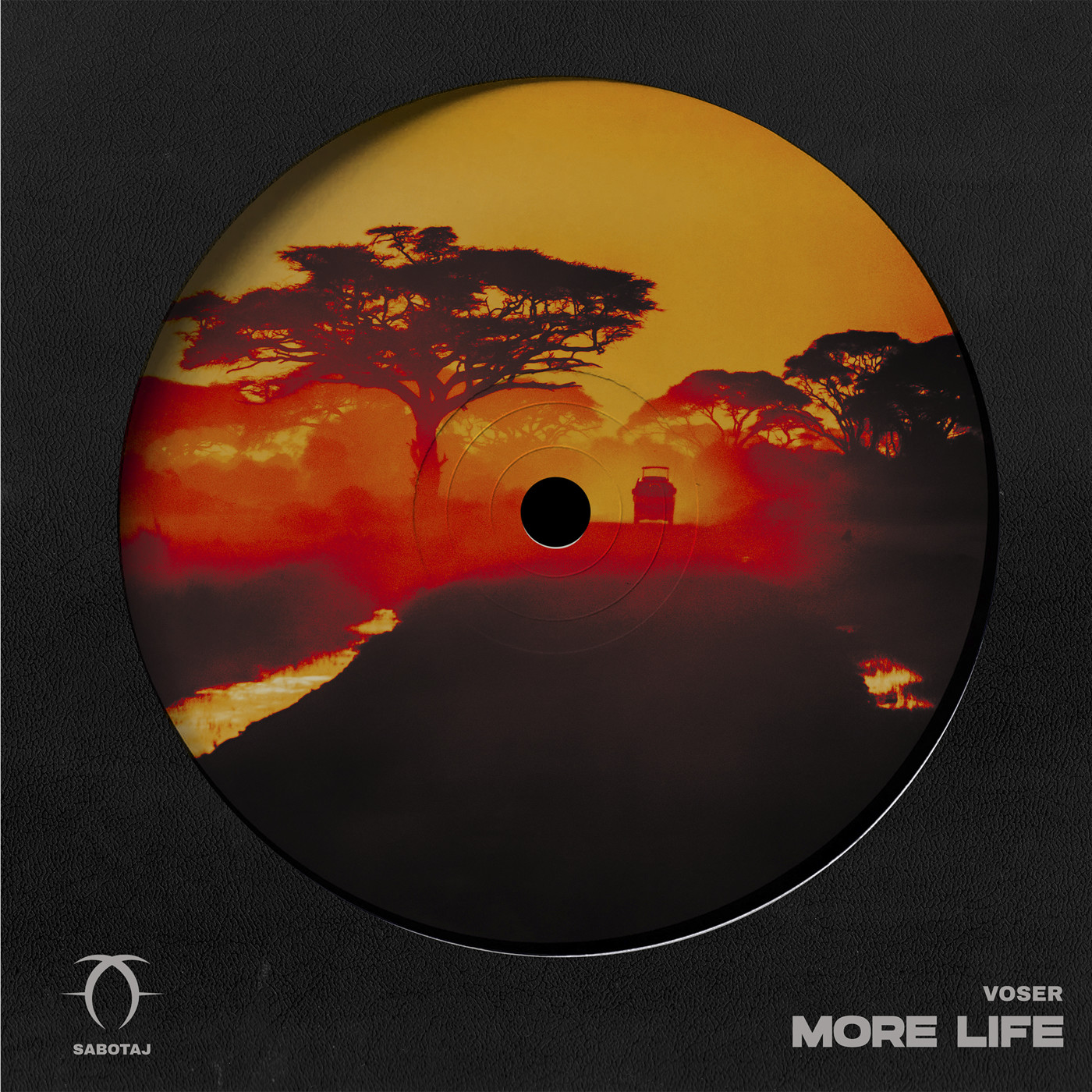 Voser - More Life (Radio Mix)