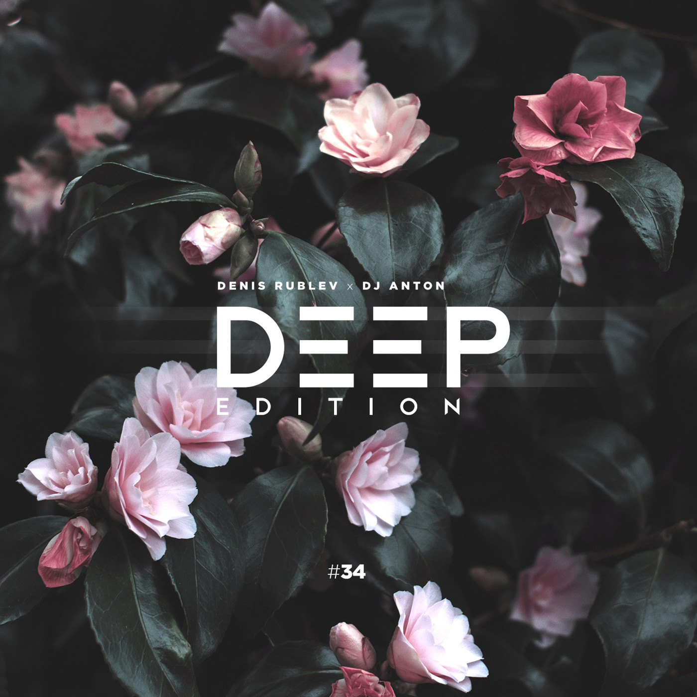 DENIS RUBLEV x DJ ANTON - DEEP EDITION 2019 VOL.34 episode artwork