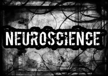 PromoDJ profile picture for @neuroscience