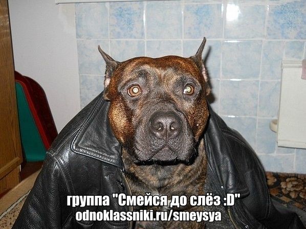 8MAY, OLISHA - Бармен (Dj DoGLife remix)2