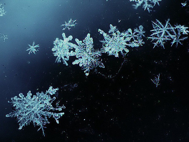 Alexy.Nov - White Waltz of Snowflakes (cover) episode artwork