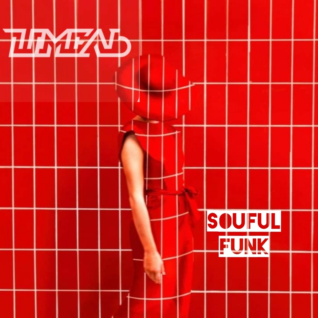 DJ Шмель-Soulful Funk episode artwork